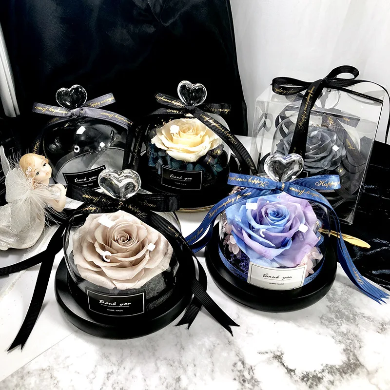 Beauty And The Beast Save Hadi - Decor Timeless Lighting ulasan dan harga